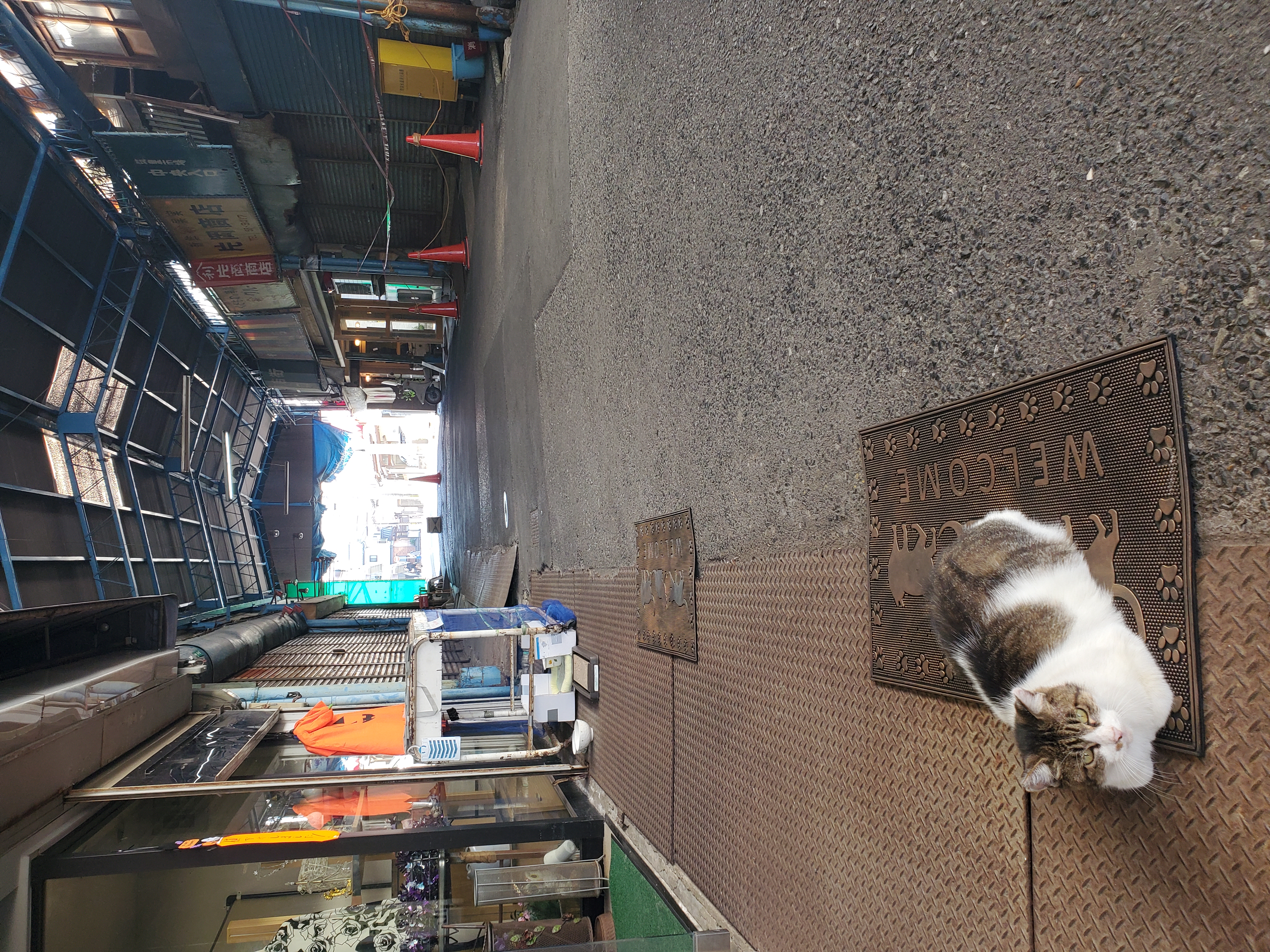 北九州最古の木造レトロ市場「筑豊商店街」の写真 8
